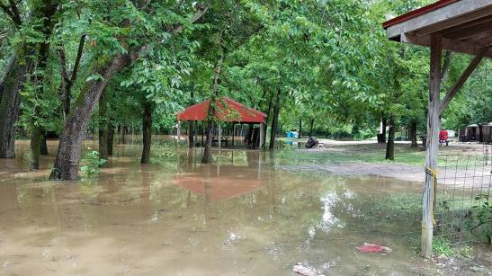 13718744_1054010684635893_6231228473032066339_n